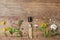 Flat lay composition with essential oil and flowers on wooden table