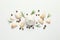 Flat lay of composition, garlic bulbs, slices, spice, parsley, rosemary on white background, top view