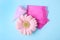 Flat lay composition with menstrual pads, cup and gerbera flower. Gynecological care