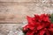 Flat lay composition with poinsettia. Traditional Christmas flower