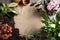 Flat lay composition with pots, home plants and gardening tools on grey background