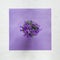 Flat lay concept with beautiful violet flowers on violett paper structure