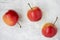 Flat lay of crab apples on a white background