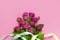 Flat lay flowers composition. Pink rose flowers and colorful holiday ribbons on pink background top view copy space. Greeting card