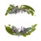 Flat lay frame wreath with evergreen succulent blue