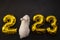 flat lay inflatable golden balloons in the form of numbers 2023 on a black background. Year of the rabbit. White rabbit