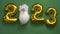 flat lay inflatable golden balloons in the form of numbers 2023 on green background. Year of the rabbit. White rabbit