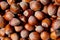 Flat lay macro Fresh hazelnut harvest, top view, close up