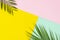 Flat lay made of tropical palm leaves lying on corners on colorful pink, mint and yellow multicolor pop background