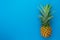 Flat lay object the fresh pineapple on modern rustic blue paper wallpaper.