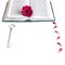 Flat lay: open Bible, book, grey / silver key and pink, purple, violette, red Gerbera flower with petals