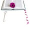 Flat lay: open Bible, grey, silver key on white background and pink, purple, violette, red Gerbera flower with petals