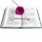 Flat lay: open book, silver key on white background and pink, purple, violette, red Gerbera flower with petals