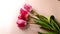 Flat lay pink background, beautiful red tulips. Flower sales concept