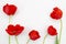 Flat lay red Poppy flowers on white background. Top view flowering poppy