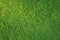 Flat lay short cut green grass background