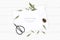 Flat lay top view elegant white composition paper botanic garden plant leaf flower pine cone tag and vintage metal scissors on
