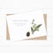 Flat lay top view elegant white composition paper botanic garden plant leaf flower pine cone on wooden background