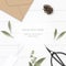 Flat lay top view elegant white composition paper leaf flower pine cone kraft envelope tag and vintage metal scissors on wooden