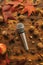 Flat lay top view microphone with autumn arrangement