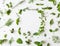 Flat-lay of various fresh green kitchen herbs. Parsley, mint, dill, basil, marjoram, thyme on white background, top view. Spring