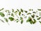 Flat-lay of various fresh green kitchen herbs. Parsley, mint, dill, basil, marjoram, thyme on white background, top view. Spring