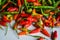 Flat lay view of a bunch of fresh datil peppers or cabai rawit harvested by Indonesian Local Farmers from the garden