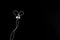 Flat Lay White Minimalist Wired Earphone at Black Background, for Music or Audio Design Element