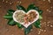 Flat lay  with wooden  pink heart  with green and middle coffee bean on green leaf against textured rustic