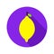 Flat Lemon Circle Icon