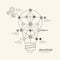 Flat linear Infographic Education Outline lightbulb Concept.