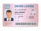 Flat man driver license plastic card template, id card vector illustration