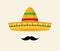 Flat mexican hat vector icon