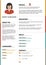 Flat minimalist cv