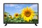 Flat modern TV with sunflower on the screen