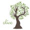 flat olive tree. Vector