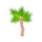 Flat palm tree icon isolated on white