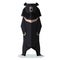 Flat polygonal Asian black bear