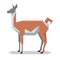 Flat polygonal Guanaco