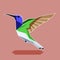 Flat polygonal Hummingbird