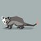 Flat polygonal Opossum