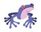 flat purple frog