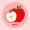 Flat red apple vector png for icon logo and clipart in cute cartoon isolated fruits