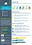 Flat resume infographic design