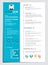 Flat Resume with Infographics