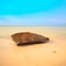 Flat rock on a golden beach. Long exposure.