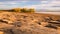 A flat rock tropical beach with mangroves