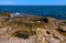 Flat rocky shore with many littoral puddles rich in life, in the eastern Crimea, Black Sea