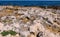 Flat rocky shore with many littoral puddles rich in life, in the eastern Crimea, Black Sea