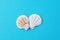 Flat Round Striped Seashells on Vibrant Blue Background. Minimalist Modern Styled Image. Funky Trendy Colors